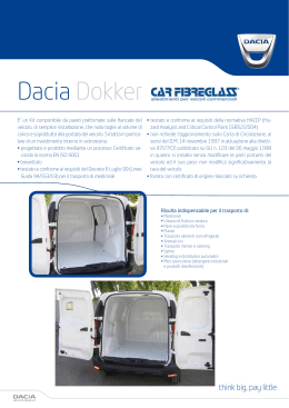 Dacia Dokker - CAR FIBREGLASS
