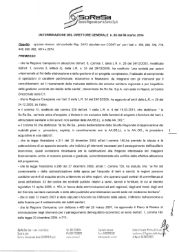 Determinazione n. 65