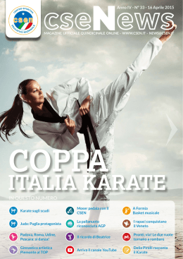 cseNews n. 33