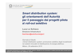 Smart distribution system - Autorità per l`energia elettrica e il gas