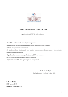 IL PROCESSO CIVILE DEL GIUDICE DI PACE Aspetti problematici