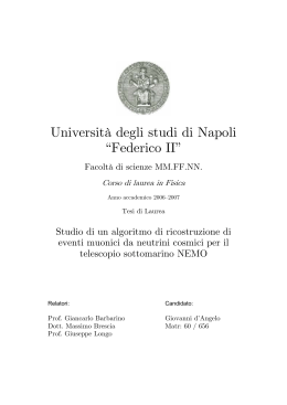 Università degli studi di Napoli “Federico II”