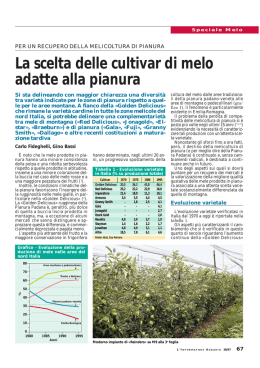 Scarica il documento - Provincia di Verona