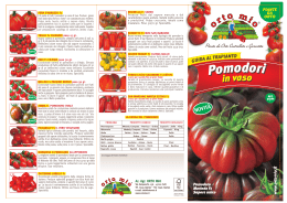 Pomodori - Orto Mio