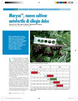 Marysa™, nuova cultivar autofertile di ciliegio dolce