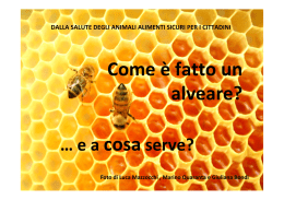 L`alveare - Azienda USL 7 di Siena