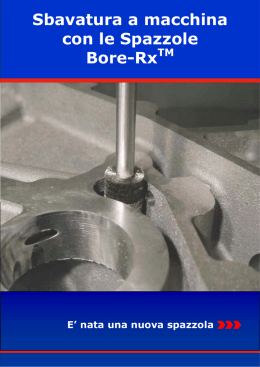 Sbavatura a macchina con le Spazzole Bore-Rx