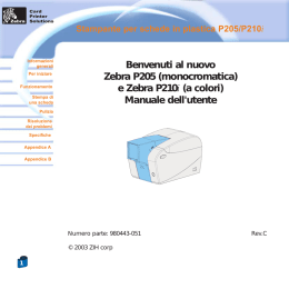 Stampante per schede in plastica P205/P210i