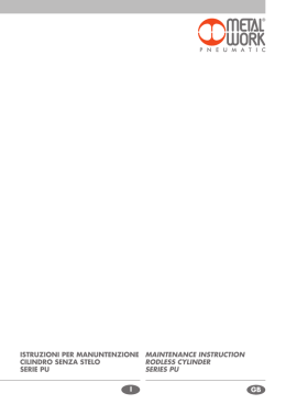 Cilindro senza stelo serie PU