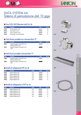 DATA SYSTEM 6A Sistema di permutazione dati 10 giga
