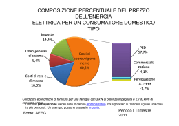 composizione percentuale del prezzo dell`energia elettrica per un
