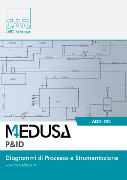 MEDUSA4 P&ID Diagrammi di Processo e