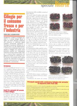 iiiliegie per - AgroAmbiente.Info