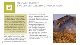 Strada del Prosecco e vini dei Colli Conegliano