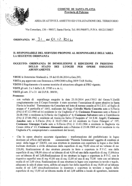 ORDINANZA N°. 31 del CM. 12