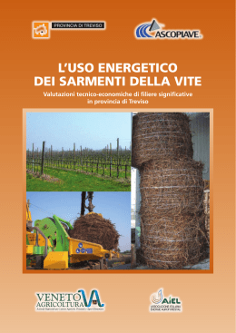 L`USO ENERGETICO DEI SARMENTI DELLA VITE