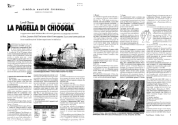 Level Classes - Circolo Nautico Chioggia