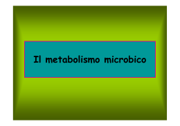 Il metabolismo microbico 2