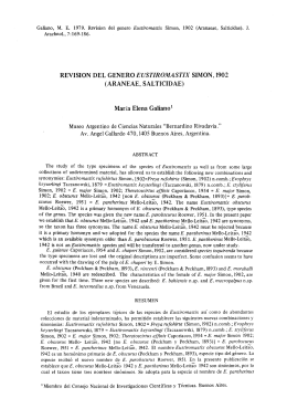 REVISION DEL GENERO EUSTIROMASTIX SIMON, 1902