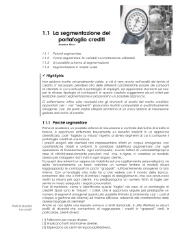 1.1 La segmentazione del portafoglio crediti