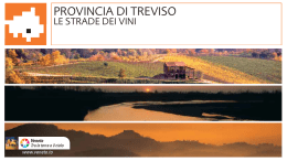 Strada dei vini - Visittreviso.it