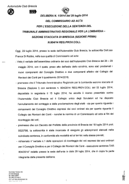 Delibera Commissario ad ActaN- 1-2014 del 29-07-2014