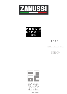 P R O M O EXPORT 2013