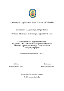 Universit&agrave; degli Studi della Tuscia di Viterbo