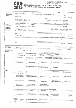 Compenso Direttore - Istituzione Veneziana