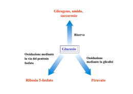 Glucosio 6