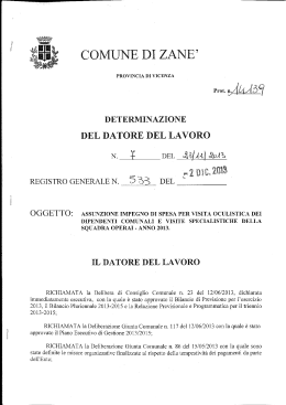 DET 533 - Comune di Zanè