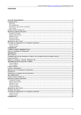 SOMMARIO PALI DI FONDAZIONE ........................................................