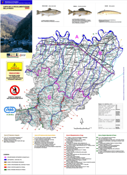 Realizzato dal Servizio Programmazione Territoriale