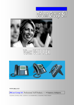 DbLan Group Srl Professional VoiP Products