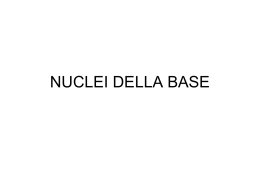 Nuclei della base