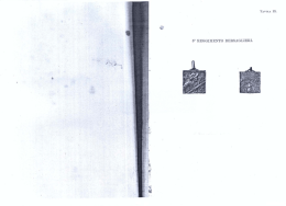 5“ REGGIMENTO BERSAGLIERI.