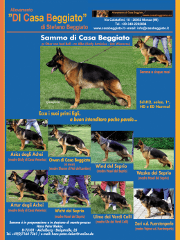 SchH2, (madre Hosel del Seprio)