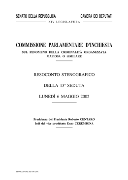 Seduta n. 13 - Parlamento Italiano
