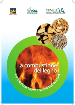La combustione del legno