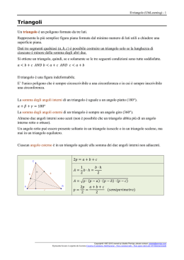 I triangoli. (manuale)