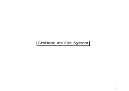 Gestione del File System