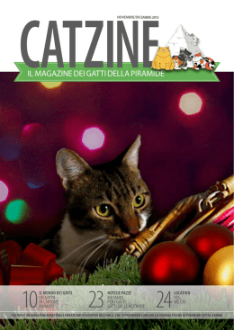 IL MAGAZINE DEI GATTI DELLA PIRAMIDE
