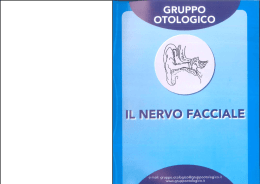 Il Nervo Facciale - Gruppo Otologico