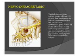 Materiale illustrativo: Dissezione Anatomica