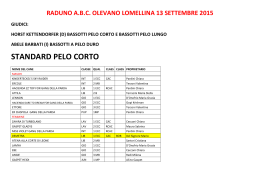 13/09/2015 Raduno ABC Olevano Lomellina