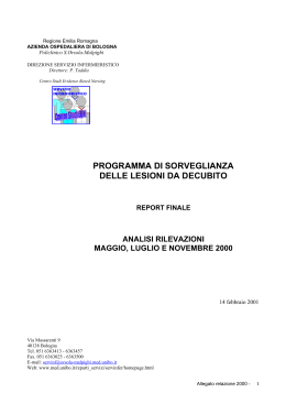 Report anno 2000 - Evidence Based Nursing