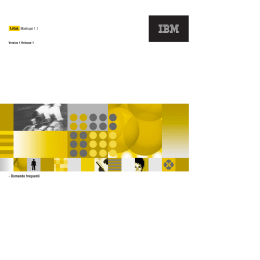 IBM Mashup Center: V1.1