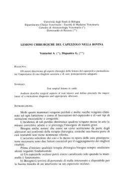 Lesioni chirurgiche del capezzolo nella bovina