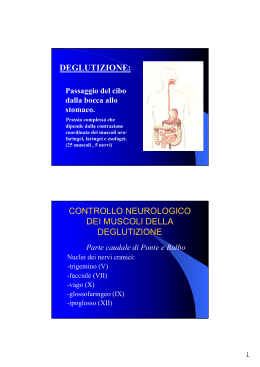 DEGLUTIZIONE: CONTROLLO NEUROLOGICO DEI - Area-c54