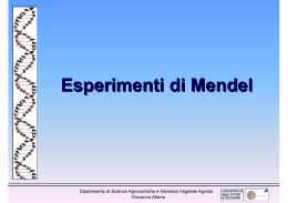 Esperimenti di Mendel - Associazione Studenti di Agraria IAAS Sassari